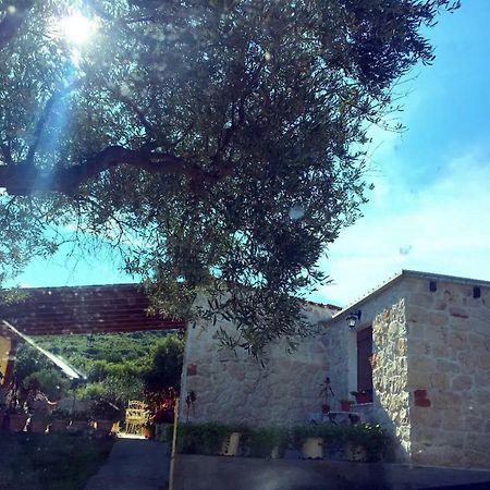 Country House At Alexandroupoli Nea Nea Makri Esterno foto